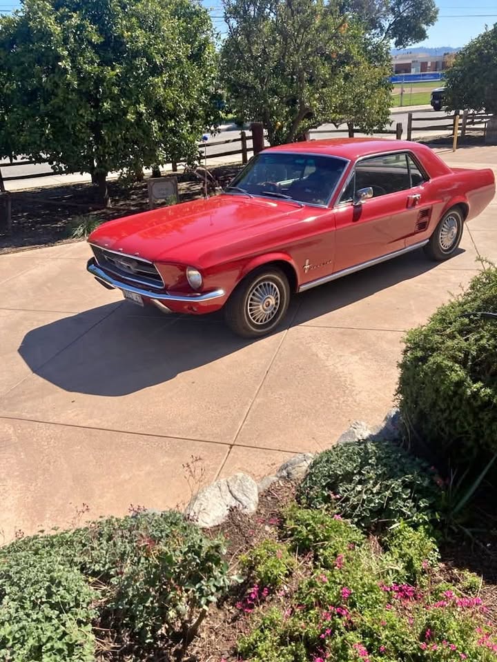 FORD MUSTANG 289CI