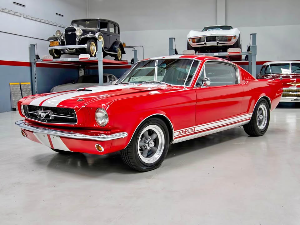 Ford Mustang gt350 tribute