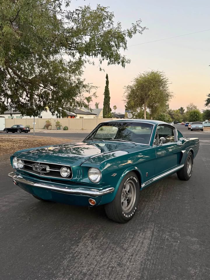 Ford Mustang Fastback  Code a