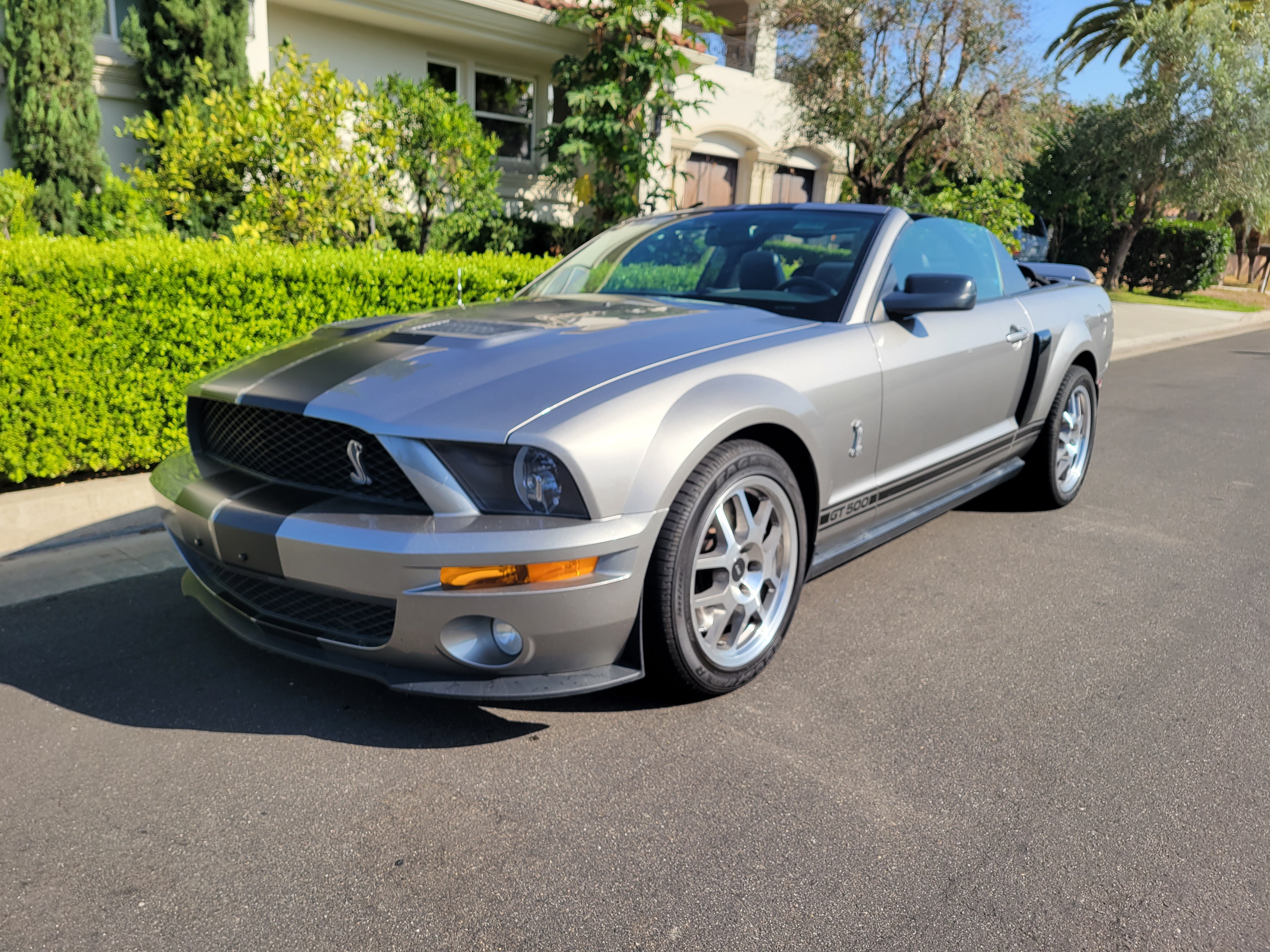 Ford Mustang Shelby GT500 Cabriolet 2008