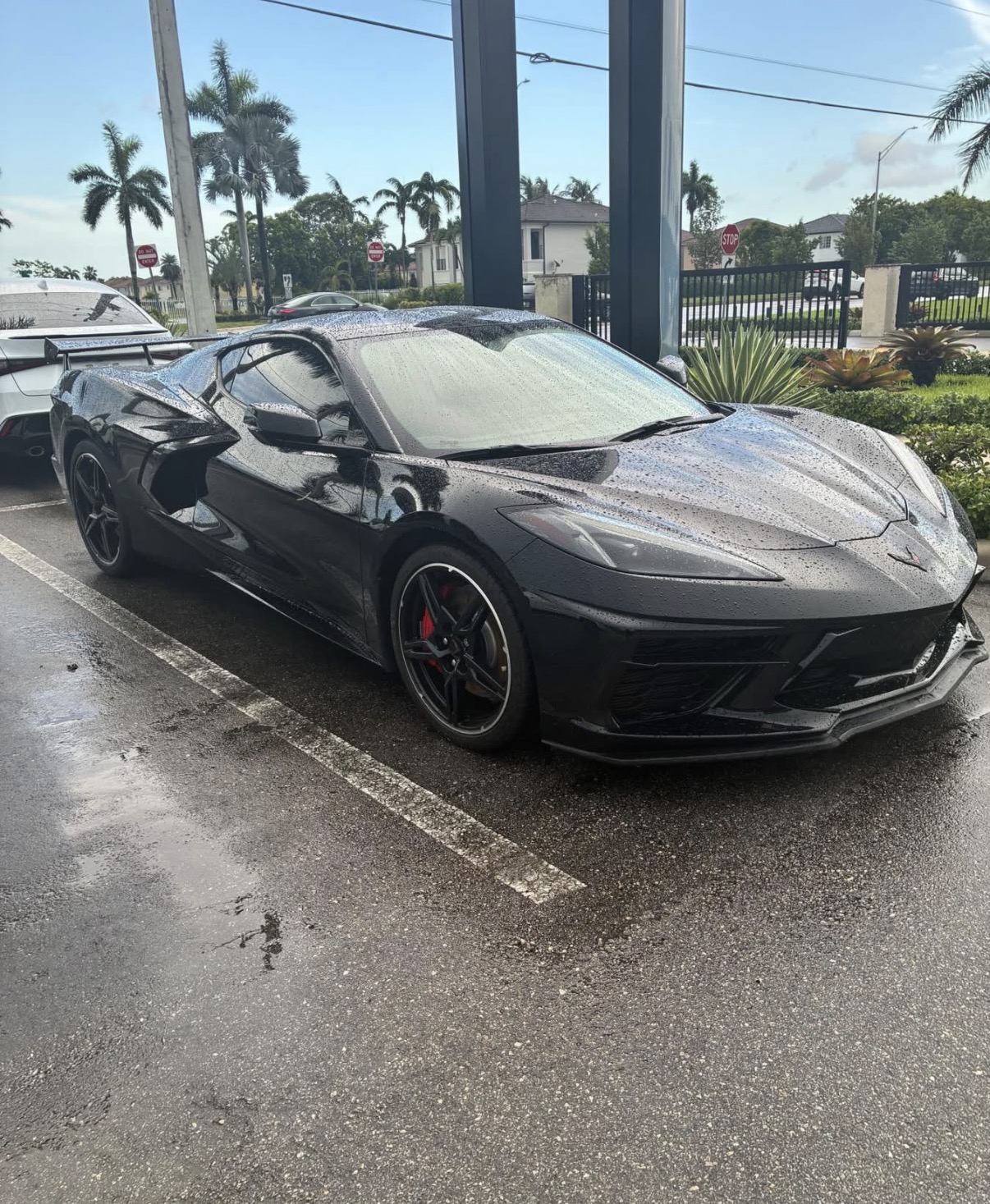 Chevrolet Corvette C8 Stingray Z51 pack  1LT 2020
