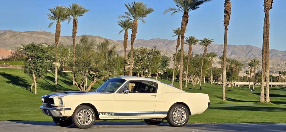 Ford Mustang Fastback 1966
